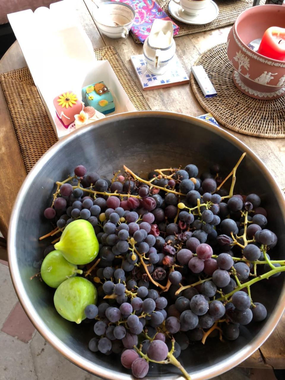 زيورخ Good4Yew Bnb المظهر الخارجي الصورة
